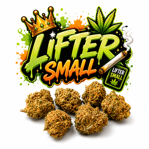 LIFTER SMALL