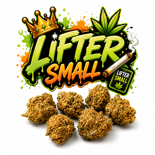 LIFTER SMALL